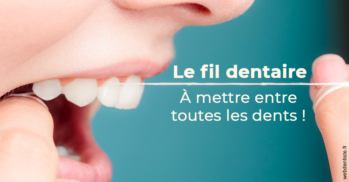 https://selarl-choblet.chirurgiens-dentistes.fr/Le fil dentaire 2