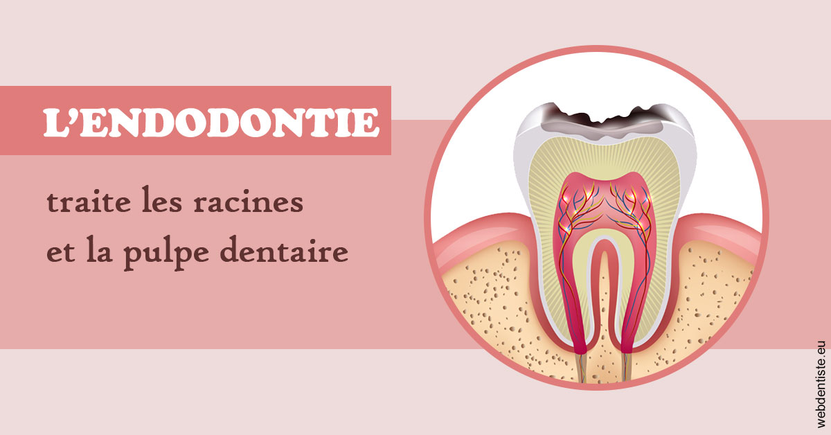 https://selarl-choblet.chirurgiens-dentistes.fr/L'endodontie 2
