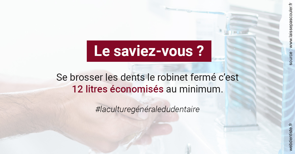 https://selarl-choblet.chirurgiens-dentistes.fr/Economies d'eau 2